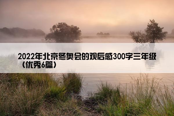 2022年北京冬奥会的观后感300字三年级（优秀6篇）