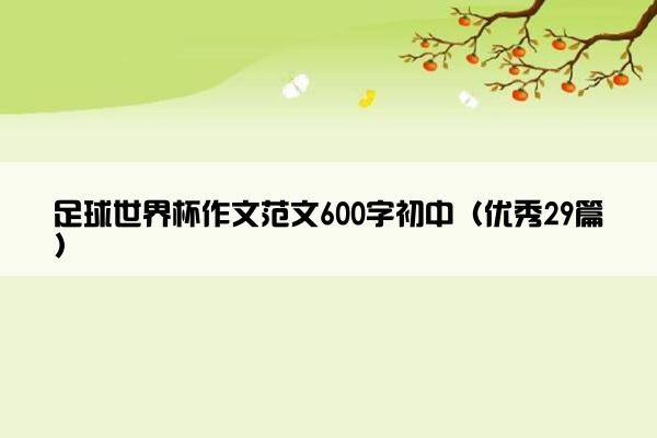 足球世界杯作文范文600字初中（优秀29篇）