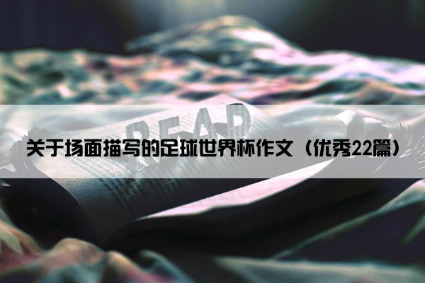 关于场面描写的足球世界杯作文（优秀22篇）