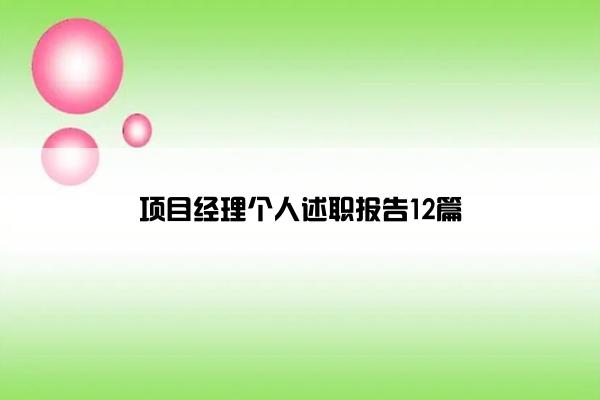 项目经理个人述职报告12篇