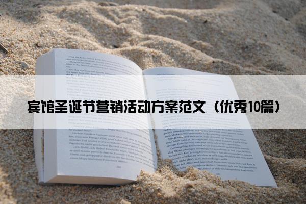 宾馆圣诞节营销活动方案范文（优秀10篇）