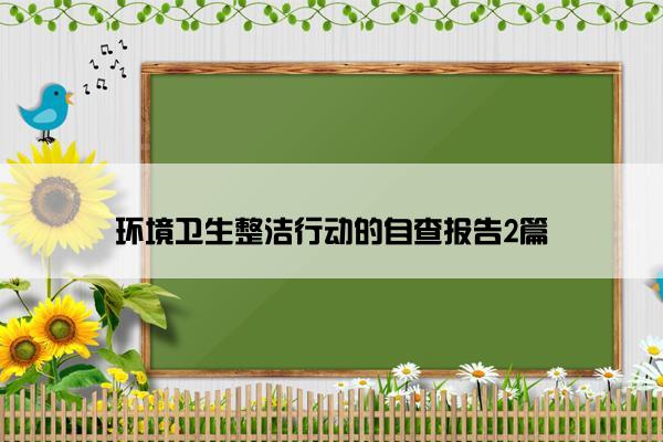 环境卫生整洁行动的自查报告2篇