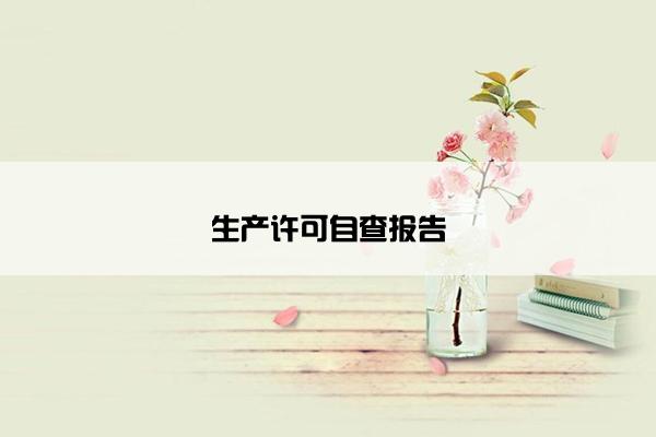 生产许可自查报告