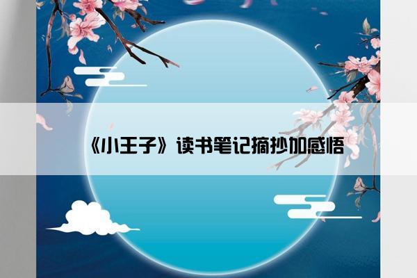 《小王子》读书笔记摘抄加感悟