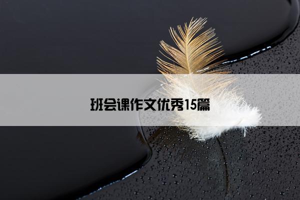 班会课作文优秀15篇