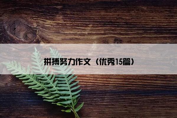 拼搏努力作文（优秀15篇）