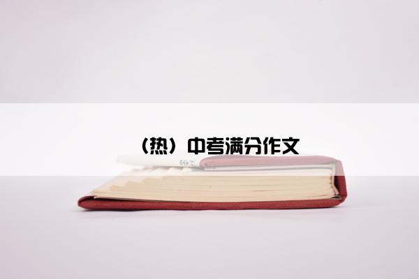 （热）中考满分作文