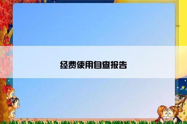 经费使用自查报告