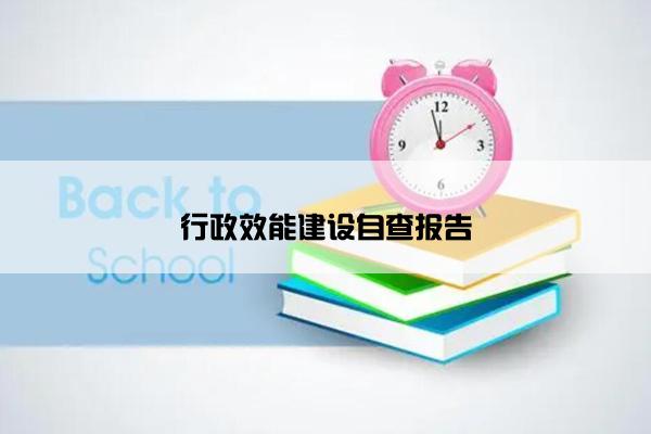 行政效能建设自查报告