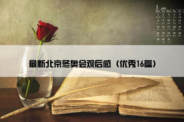 最新北京冬奥会观后感（优秀16篇）