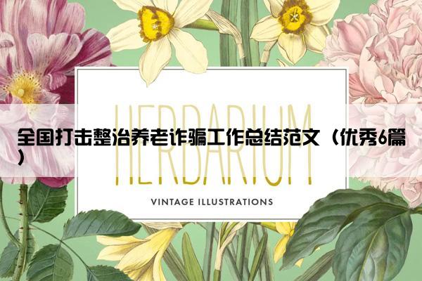 全国打击整治养老诈骗工作总结范文（优秀6篇）