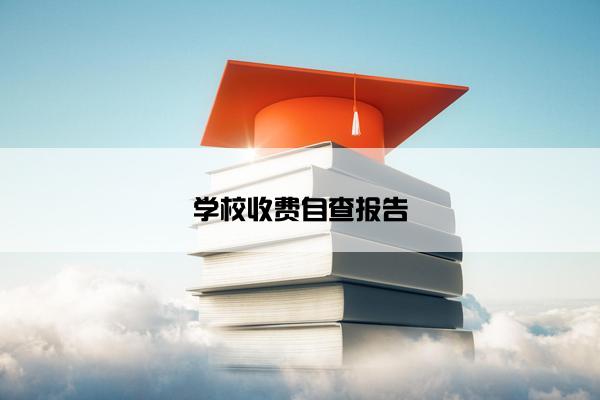 学校收费自查报告