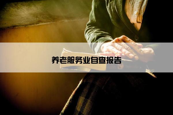 养老服务业自查报告