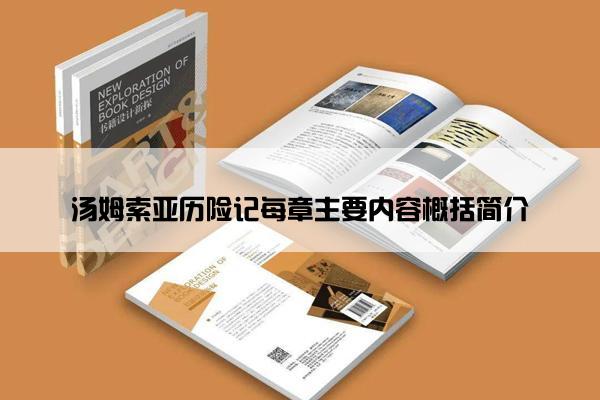 汤姆索亚历险记每章主要内容概括简介