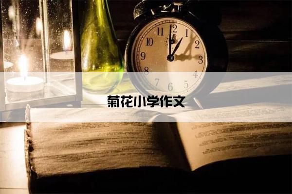 菊花小学作文