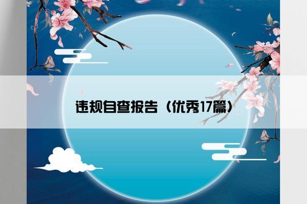 违规自查报告（优秀17篇）