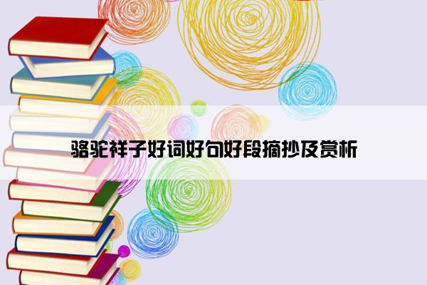 骆驼祥子好词好句好段摘抄及赏析