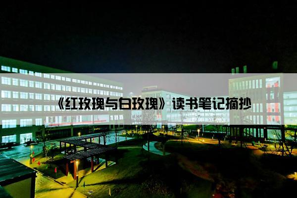 《红玫瑰与白玫瑰》读书笔记摘抄