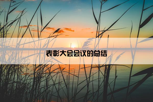 表彰大会会议的总结