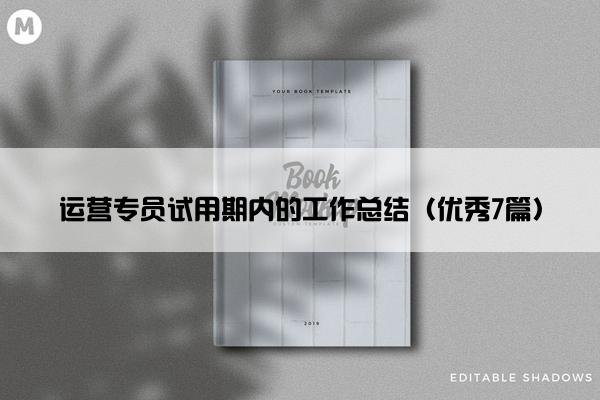 运营专员试用期内的工作总结（优秀7篇）