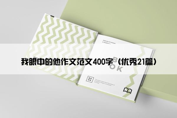 我眼中的他作文范文400字（优秀21篇）