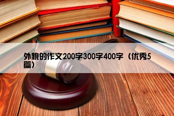 外貌的作文200字300字400字（优秀5篇）