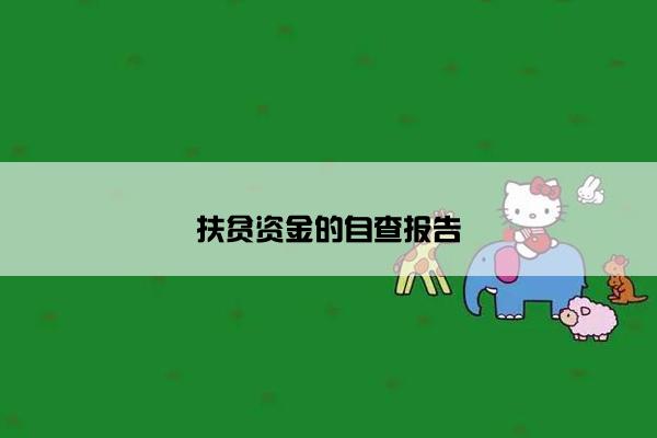 扶贫资金的自查报告