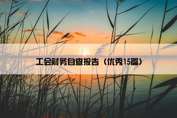 工会财务自查报告（优秀15篇）