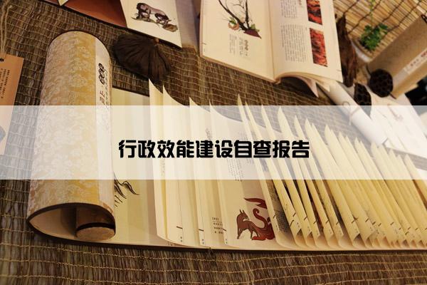 行政效能建设自查报告