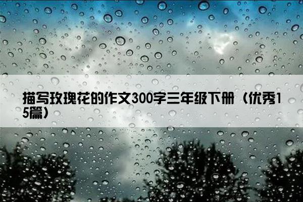 描写玫瑰花的作文300字三年级下册（优秀15篇）
