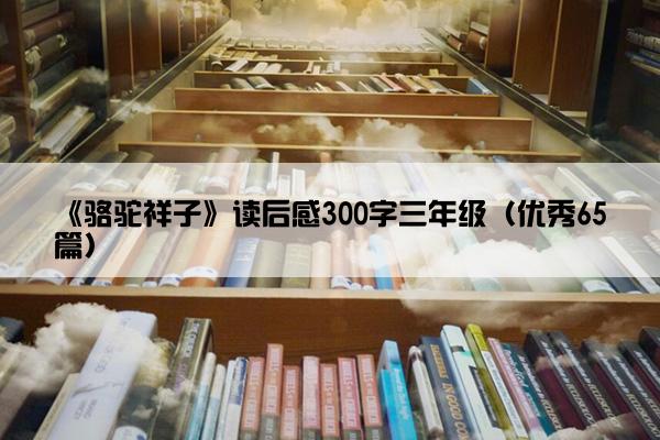 《骆驼祥子》读后感300字三年级（优秀65篇）