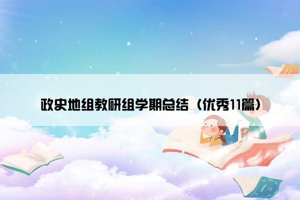 政史地组教研组学期总结（优秀11篇）