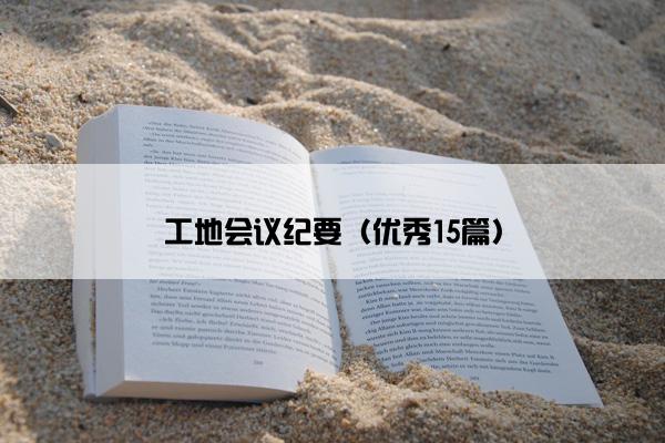 工地会议纪要（优秀15篇）