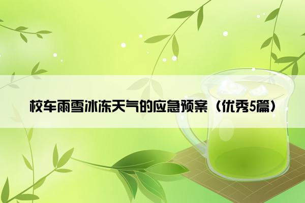 校车雨雪冰冻天气的应急预案（优秀5篇）