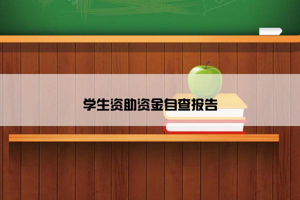 学生资助资金自查报告