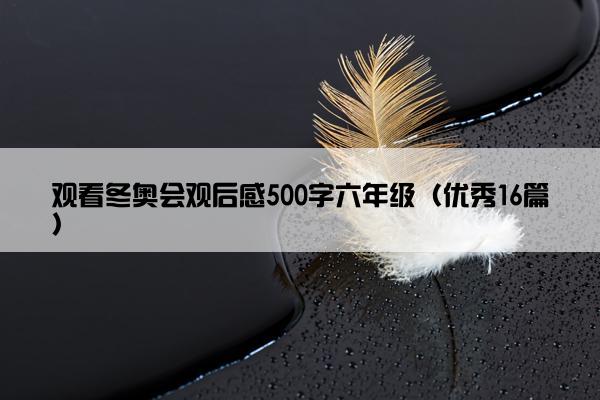 观看冬奥会观后感500字六年级（优秀16篇）