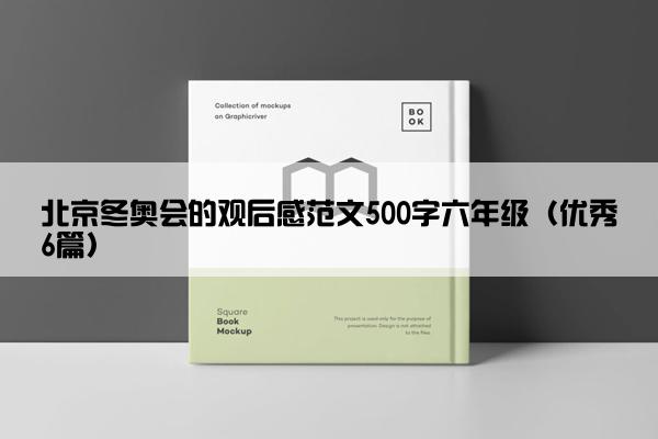 北京冬奥会的观后感范文500字六年级（优秀6篇）