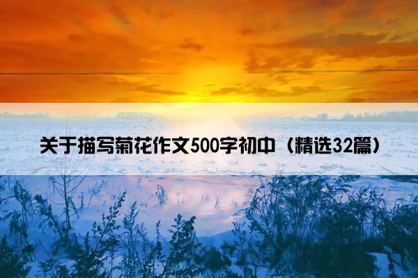 关于描写菊花作文500字初中（精选32篇）
