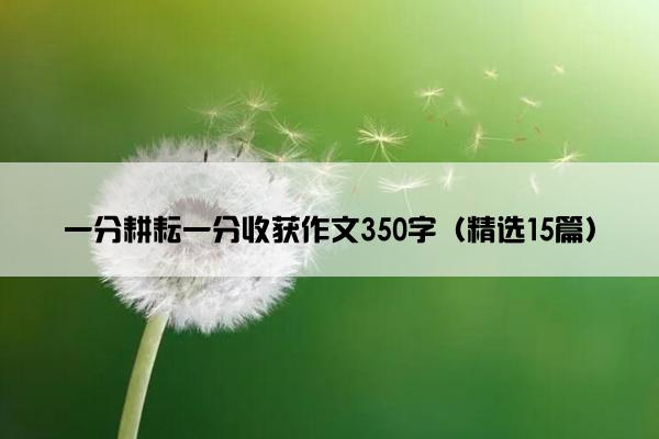 一分耕耘一分收获作文350字（精选15篇）