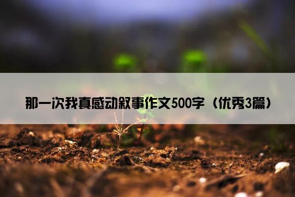 那一次我真感动叙事作文500字（优秀3篇）