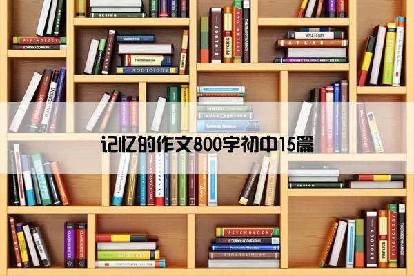 记忆的作文800字初中15篇