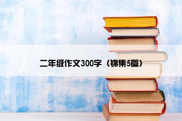 二年级作文300字（锦集5篇）