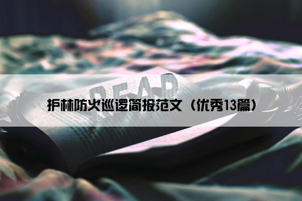 护林防火巡逻简报范文（优秀13篇）