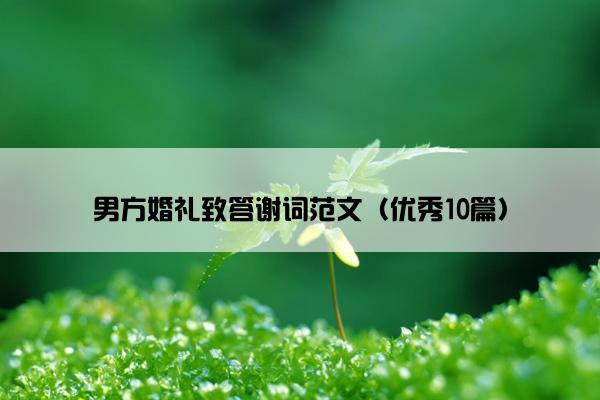 男方婚礼致答谢词范文（优秀10篇）