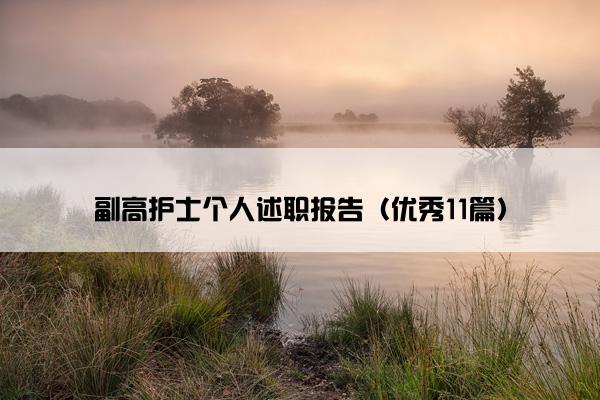 副高护士个人述职报告（优秀11篇）
