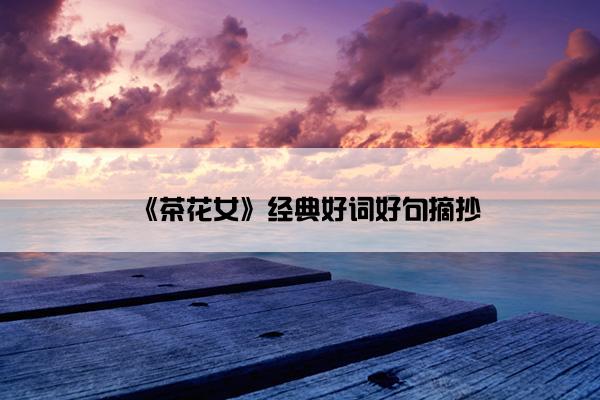 《茶花女》经典好词好句摘抄