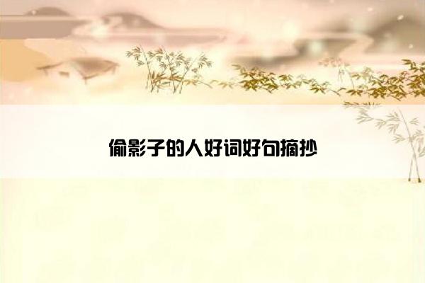 偷影子的人好词好句摘抄