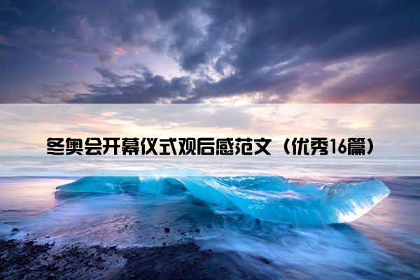 冬奥会开幕仪式观后感范文（优秀16篇）