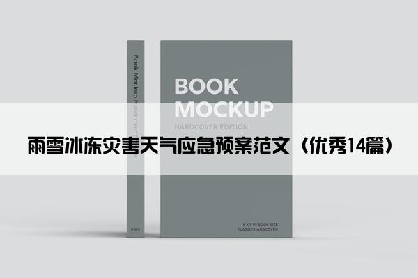 雨雪冰冻灾害天气应急预案范文（优秀14篇）