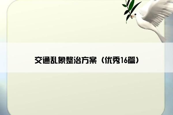 交通乱象整治方案（优秀16篇）